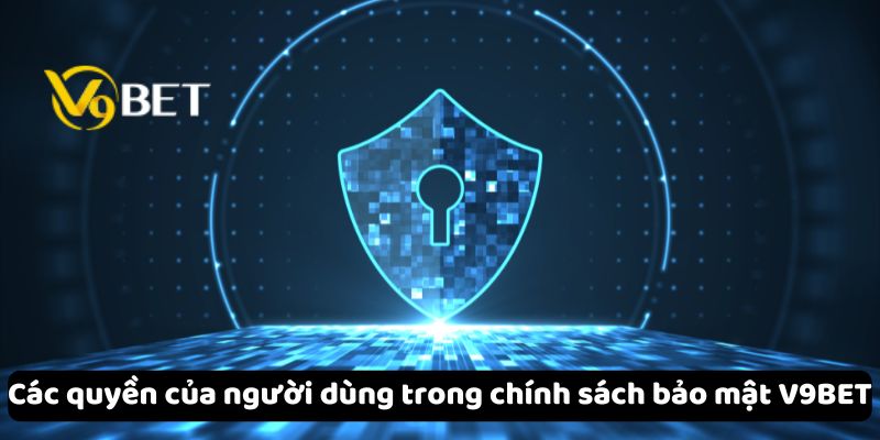 Các quyền của người dùng trong chính sách bảo mật V9Bet